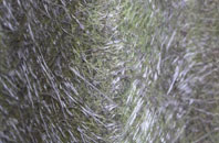 Gorsethorpe fibreglass roof work